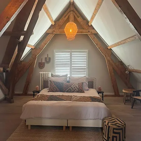 African Cosy 3* Den Haag